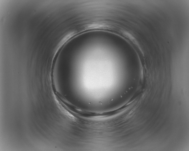 X0000066001330200603061313