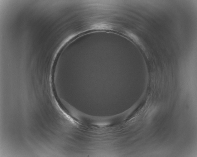 X0000066001331200603061313