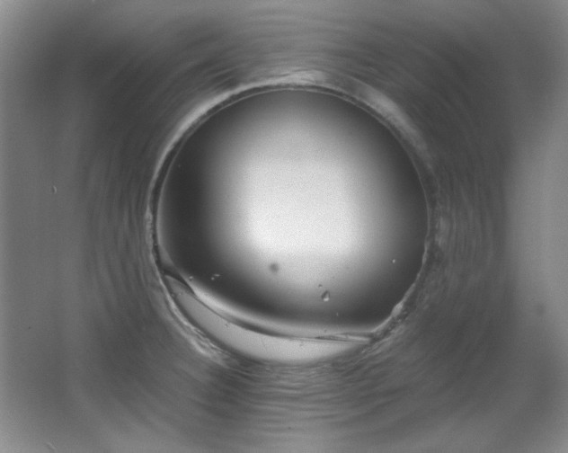 X0000066001332200603061313