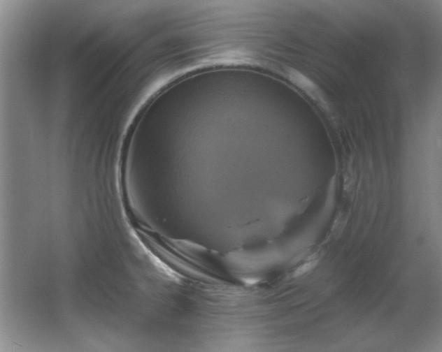 X0000066001334200603061313