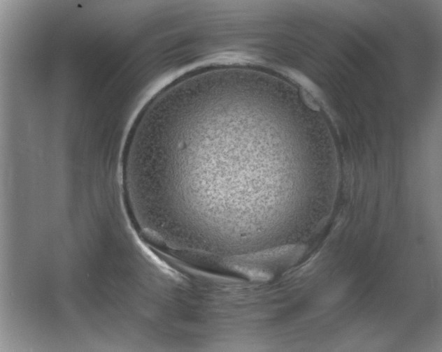 X0000066001335200603061313