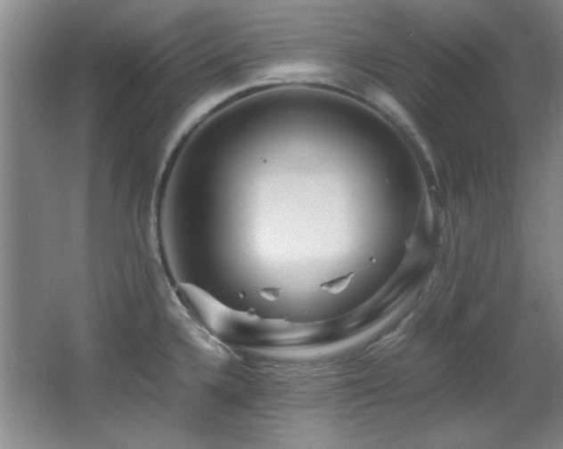 X0000066001336200603061313