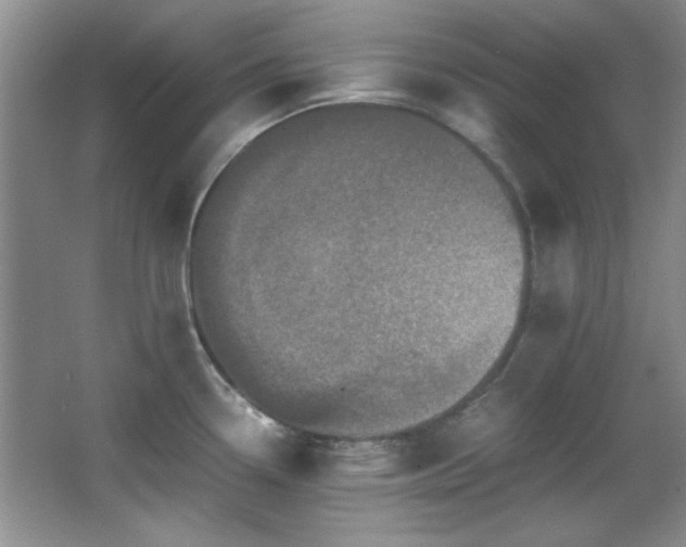 X0000066001338200603061313