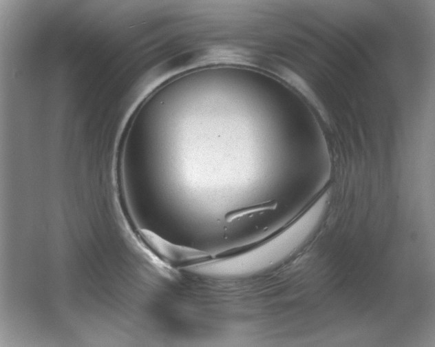 X0000066001339200603061313