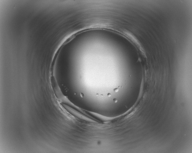 X0000066001340200603061313