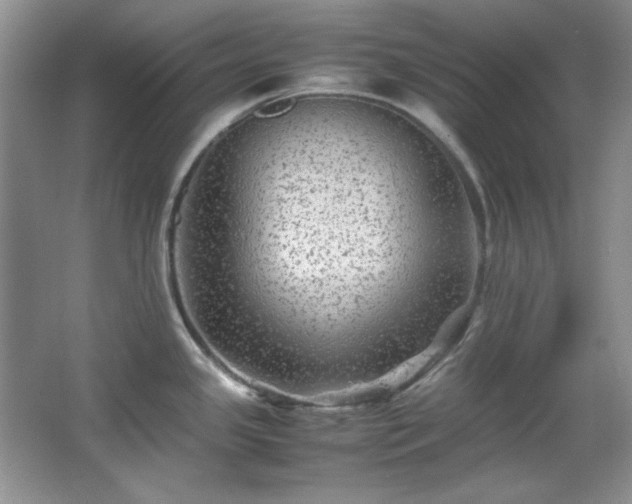 X0000066001341200603061313