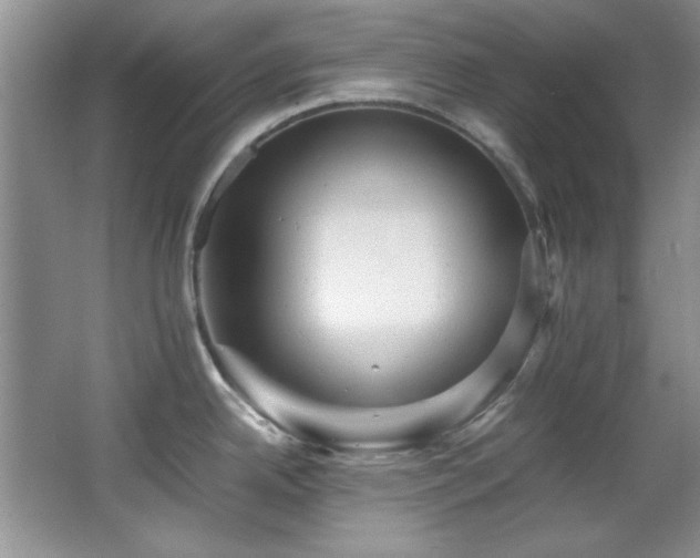 X0000066001342200603061313