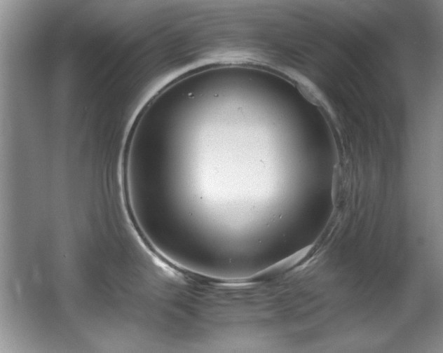 X0000066001343200603061313