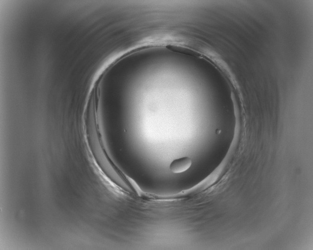 X0000066001344200603061313