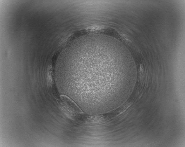 X0000066001346200603061313