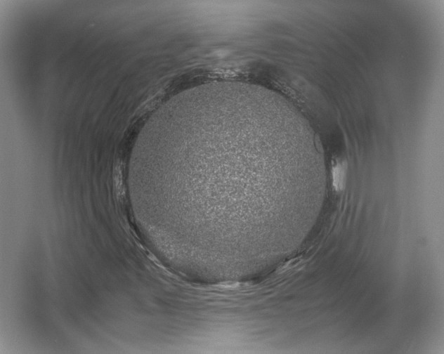 X0000066001347200603061313