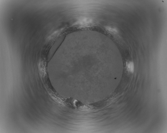 X0000066001348200603061313