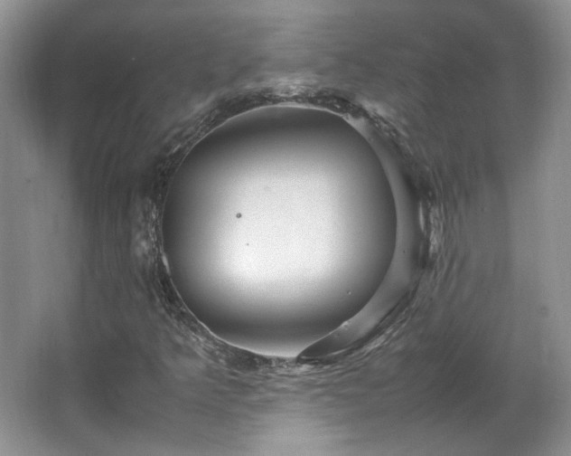 X0000066001349200603061313