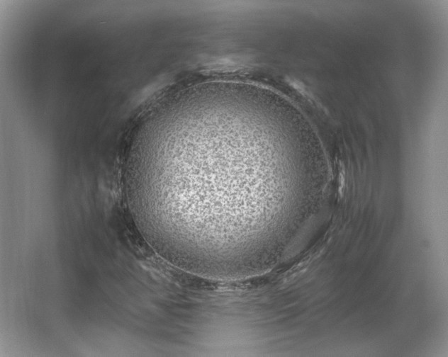 X0000066001350200603061313