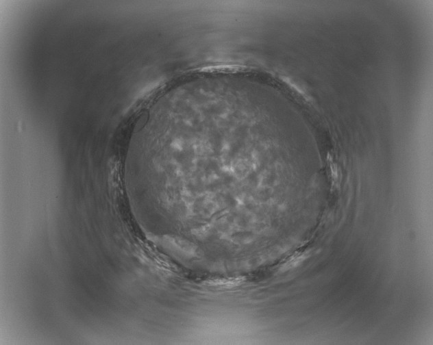 X0000066001351200603061313