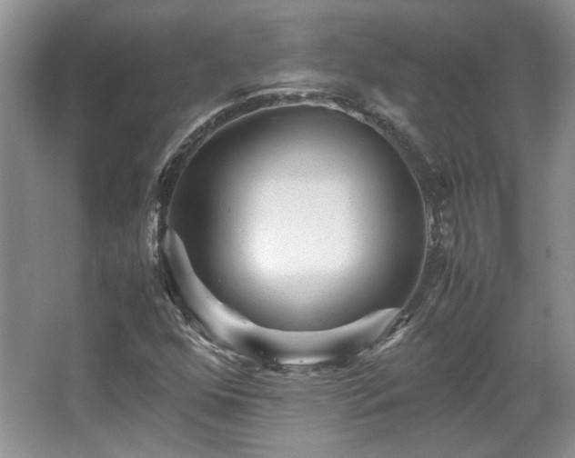 X0000066001352200603061313