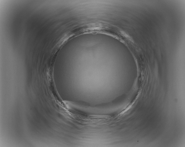 X0000066001353200603061312