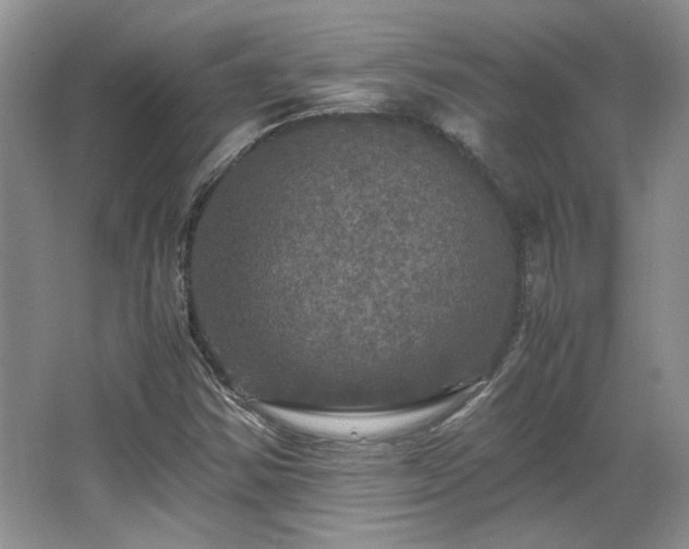 X0000066001354200603061312