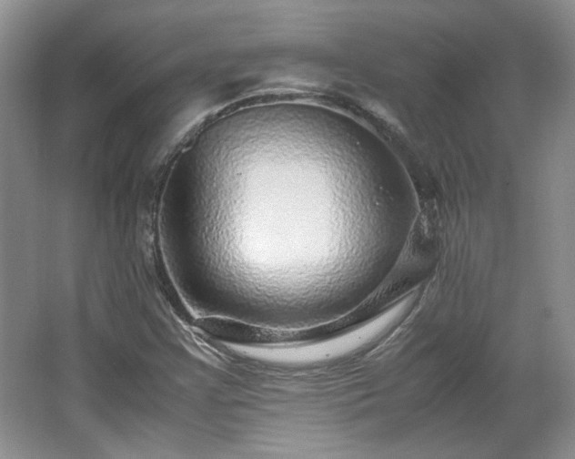 X0000066001355200603061312