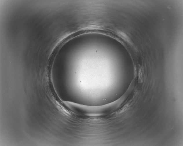 X0000066001356200603061312