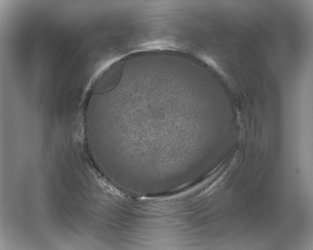 X0000066001358200603061312