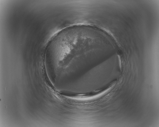 X0000066001359200603061312