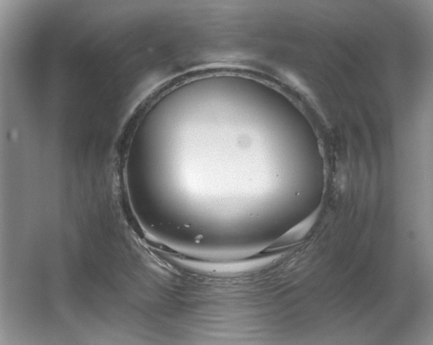 X0000066001360200603061312