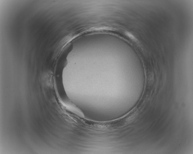 X0000066001361200603061312