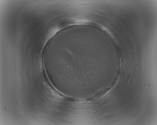 X0000066001362200603061312