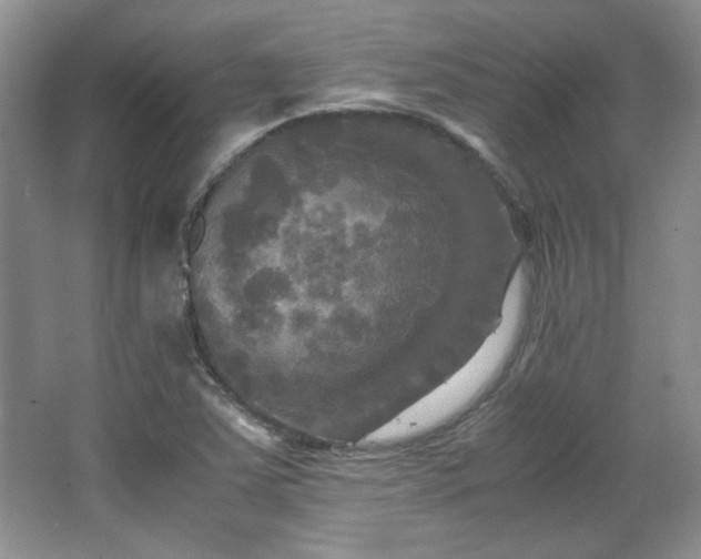 X0000066001363200603061312