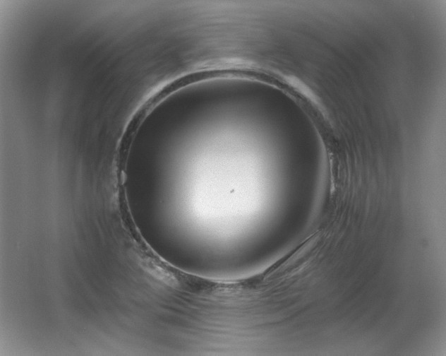 X0000066001364200603061312