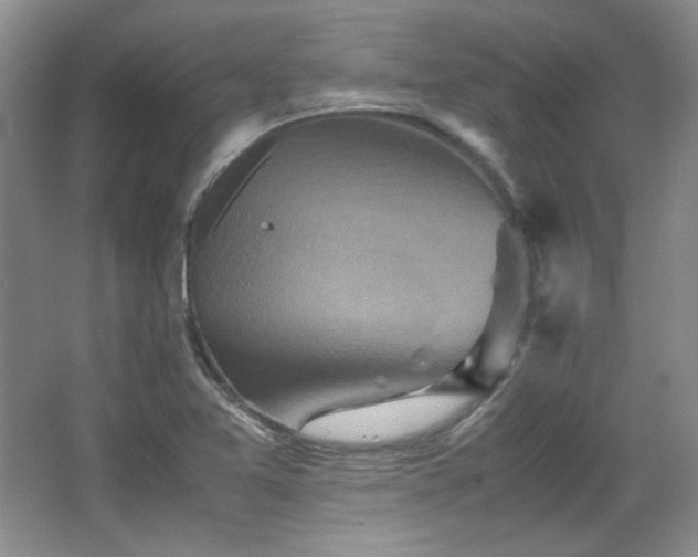 X0000066001365200603061312