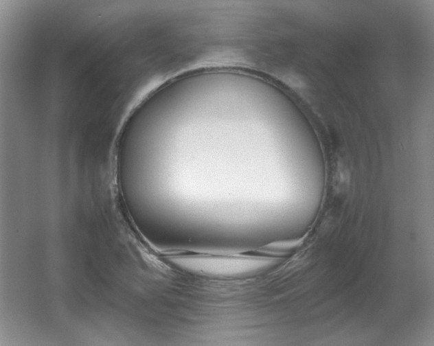 X0000066001366200603061312