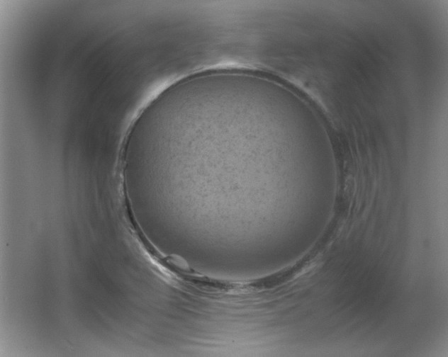 X0000066001367200603061312