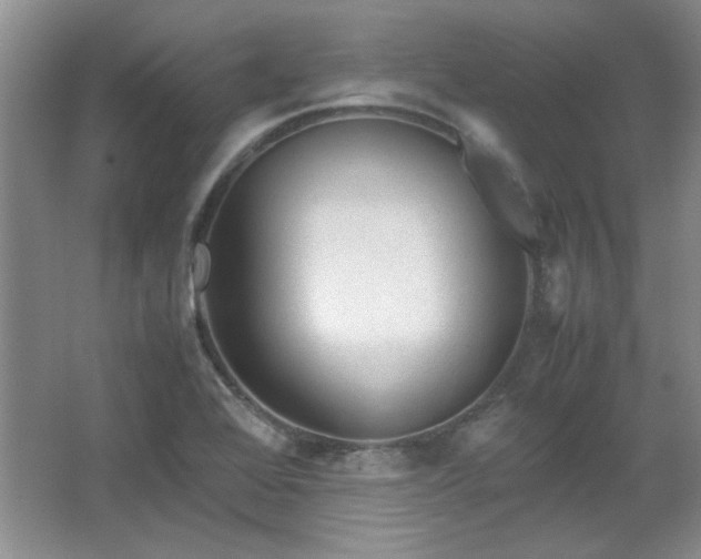 X0000066001368200603061312