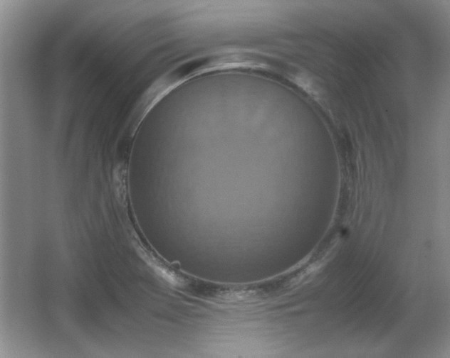 X0000066001369200603061312