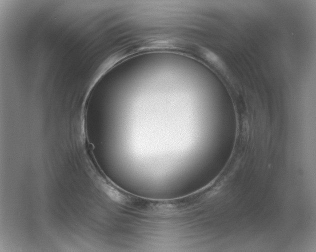 X0000066001370200603061312