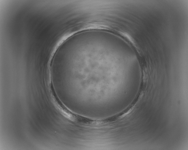 X0000066001371200603061312