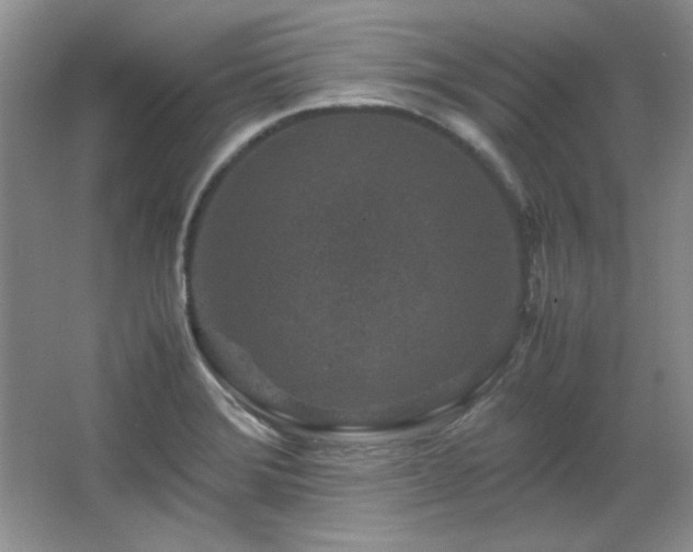 X0000066001372200603061312