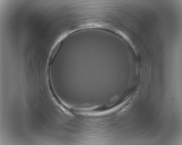 X0000066001373200603061312