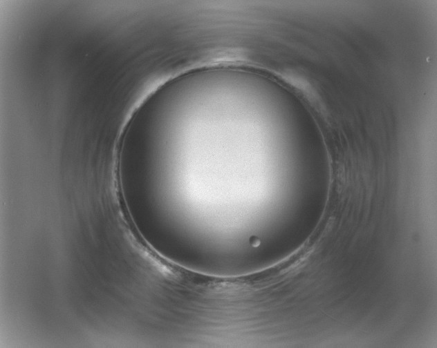 X0000066001374200603061312