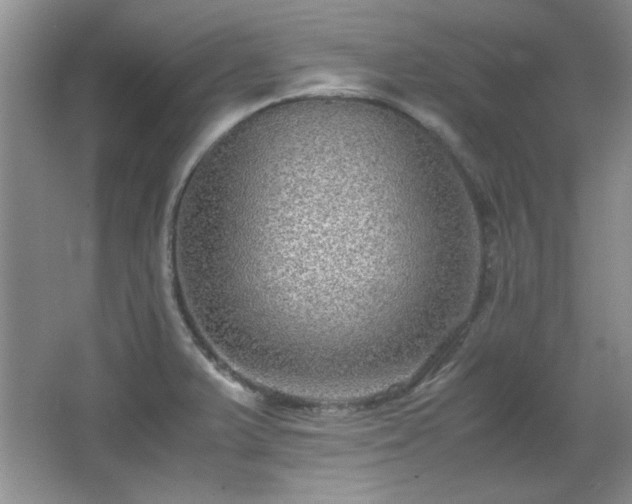 X0000066001375200603061312