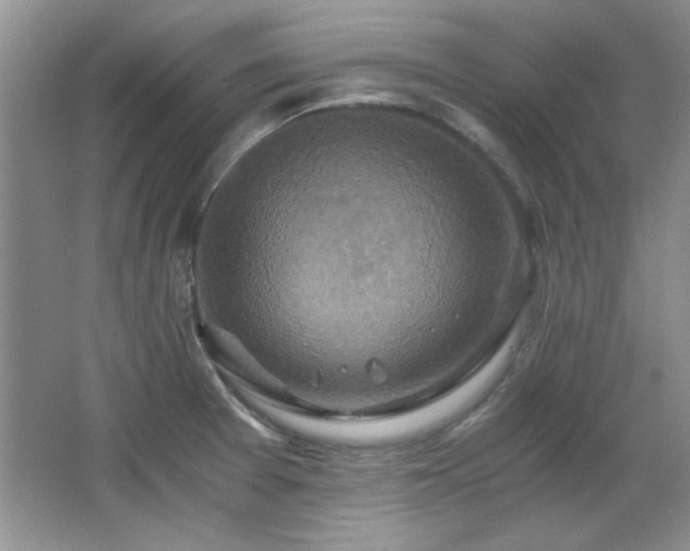 X0000066001377200603061312