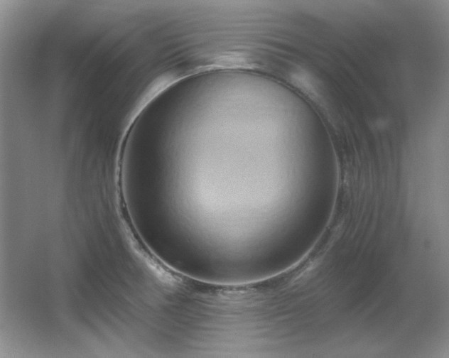 X0000066001378200603061312