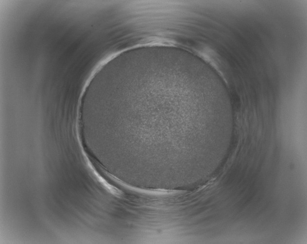 X0000066001379200603061312