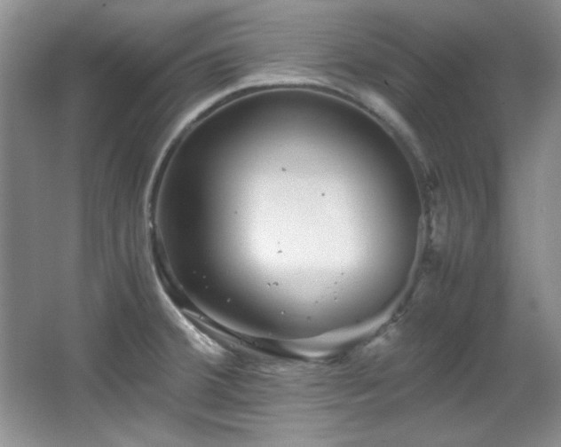 X0000066001380200603061312