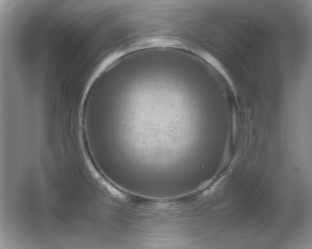 X0000066001381200603061312