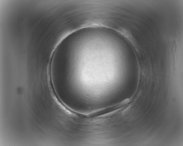 X0000066001382200603061312