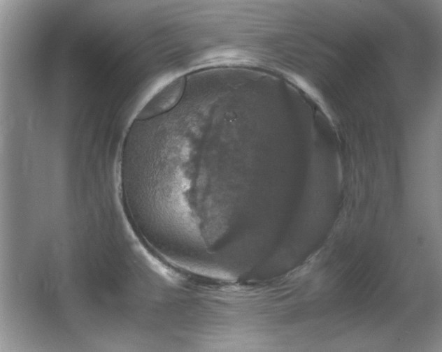 X0000066001383200603061312