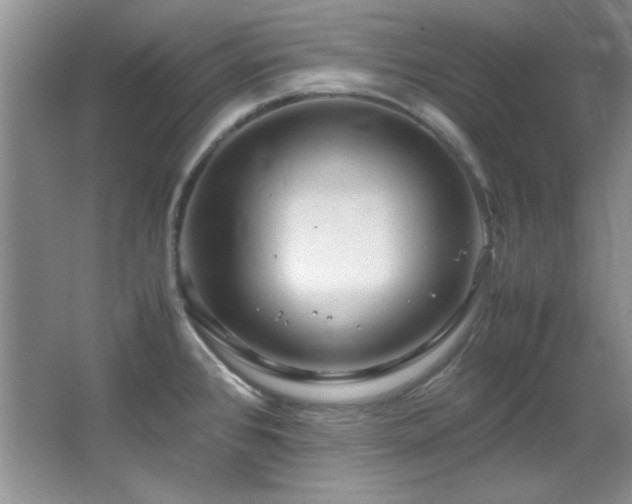 X0000066001384200603061312